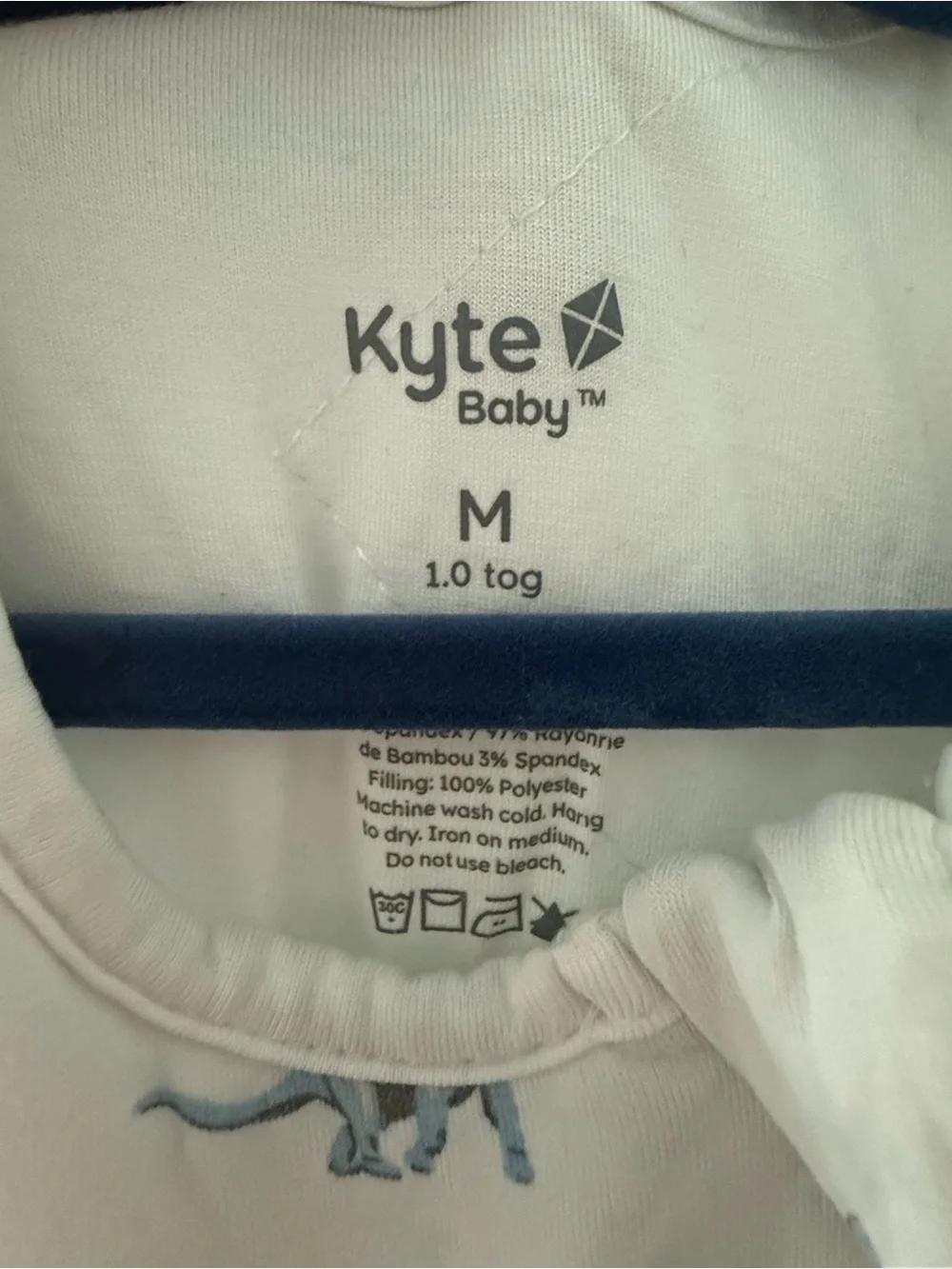 Kyte baby dinosaurs